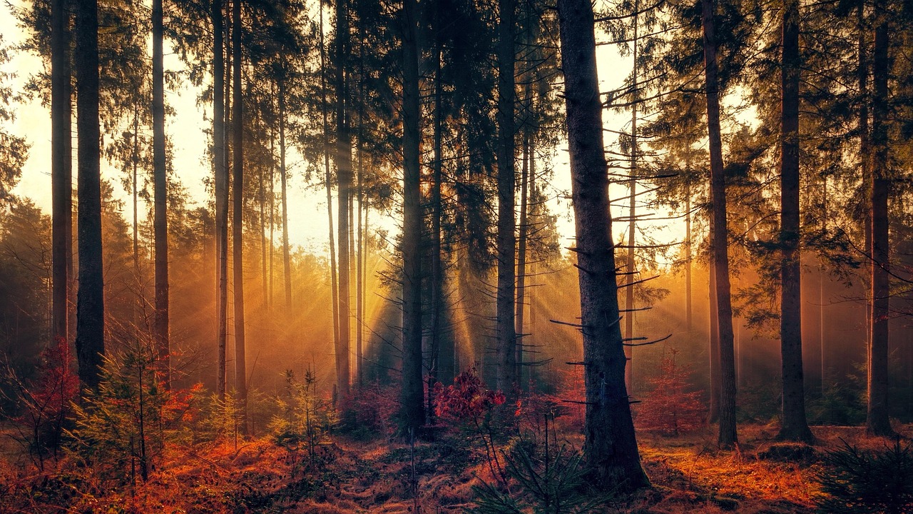 Lichttherapielamp verlicht bureau bij zonsopgang.