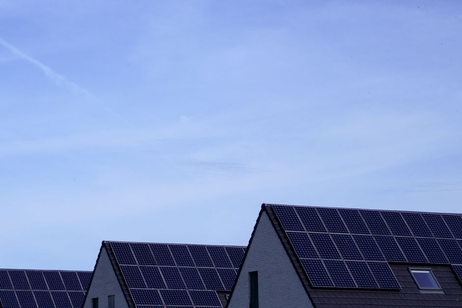 Energiepositieve daken met bloeiende planten.