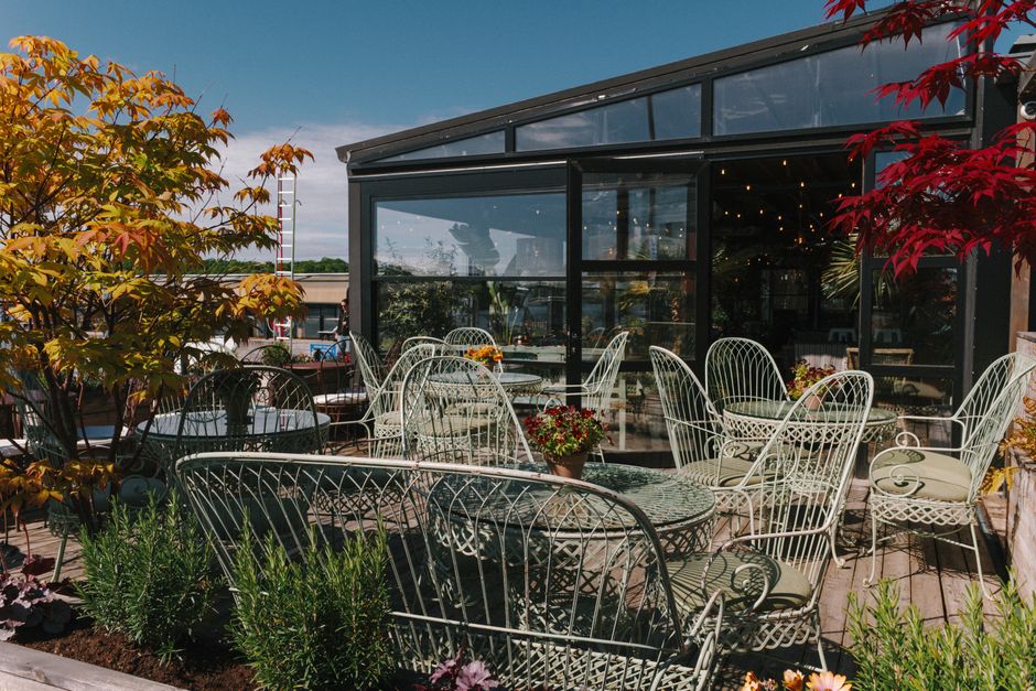 Gezellig dakterras met groene planten en loungebank.