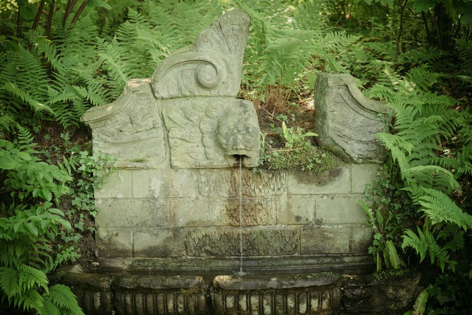 Schaduwrijke tuin met kronkelende paden en bloemen. Schaduwrijke tuin met kronkelende paden en bloemen.