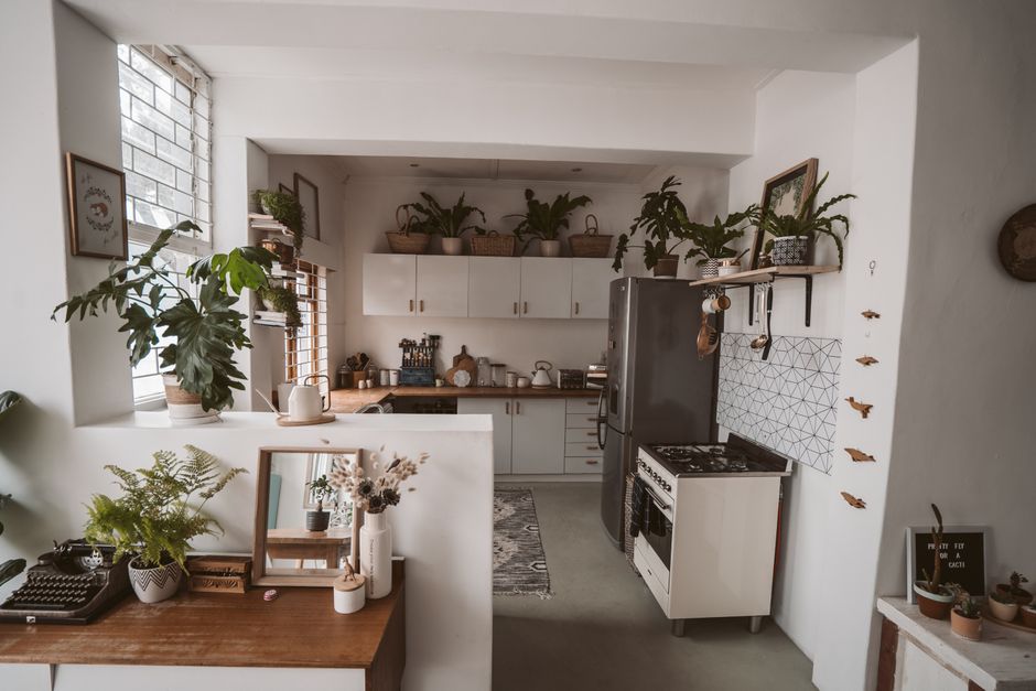 Groene planten en aromatische kruiden op aanrecht Groene planten en aromatische kruiden op aanrecht